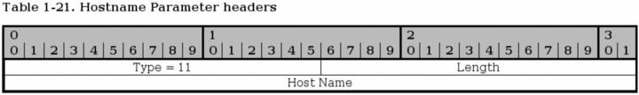 SCTP Hostname Parameter Header