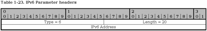 SCTP IPv6 Parameter Header